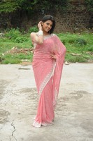 Tashu Kaushik Saree Photos